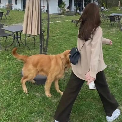 怪诞尸新娘